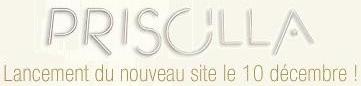 Ouverture du site officiel !